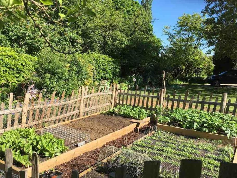 Masons Cottage, An Idyllic Retreat In An Area Of Outstanding Beauty, Close To Blenheim Palace, Oxford & The Cotswolds Stonesfield Kültér fotó